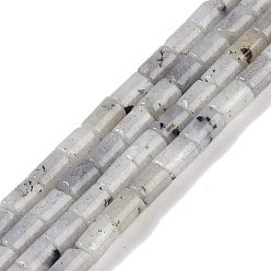 Labradorite Natural Labradorite Beads Strands, Column, 7.5~8.5x5~6mm, Hole: 1mm, about 45~46pcs/strand, 14.69~15.04 inch(37.3~38.2cm)