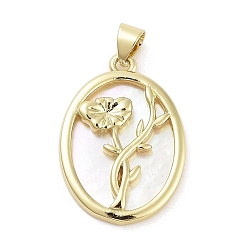 Настоящее золото 18K Стойки с латунными подвесками из ракушек, овал с цветочными подвесками, долговечный, без свинца и без кадмия, реальный 18 k позолоченный, 25x17.5x3 мм, отверстие : 5x3.5 мм