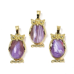 Полосатый Агат Подвеска из натурального полосчатого агата (окрашенного и нагретого), с латунной фурнитурой , без свинца и без кадмия, долговечный, сова, 28.5x15.5x7 мм, отверстие : 5x8 мм