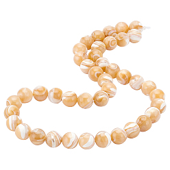 Other Sea Shell 1 Strand Natural Sea Shell Round Bead Strands, 8mm, Hole: 1mm, about 52pcs/strand, 15.7 inch