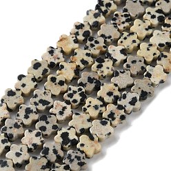 Далматинских Джаспер Природные яшмы далматин бисер нитей, цветка сливы, 6~6.5x6x2.5 мм, отверстие : 0.7 мм, около 63 шт / нитка, 14.76'' (37.5 см)