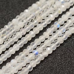 Rainbow Moonstone Бусины из натурального радужного лунного камня, граненые, рондель, 3x2 мм, отверстие : 0.5~0.6 мм, около 129~173 шт / нитка, 15.5 дюйм (39.5 см)