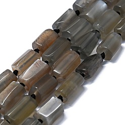 Grey Moonstone Натуральные серые бусины из лунного камня, самородки, 11~14x6~8 мм, отверстие : 0.9 мм, около 28~32 шт / нитка, 15.75'' (40 см)