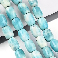 Светло-голубой Окрашенные естественный агат бисер пряди, овальные, светло-голубой, 14~15.5x10~11 мм, отверстие : 0.9~1 мм, около 26 шт / нитка, 15.16~15.35'' (38.5~39 см)