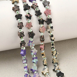 Смешанные камни 5 Виды бусин: синтетическая императорская яшма, натуральная зеленая пятнистая яшма, родонит, далматинская яшма и яшма камбаба, нити из яшмы, звезда, с бисером, смешанные окрашенные и неокрашенные, 6x5.5x2.5 мм, отверстие : 1 мм, около 54 шт / нитка, 15.35'' (39 см) ~ 15.55'' (39.5 см)