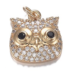 Golden Brass Micro Clear & Black Cubic Zirconia Charms, Long-Lasting Plated, Owl Shape, Golden, 12x11.5x4mm, Hole: 3mm