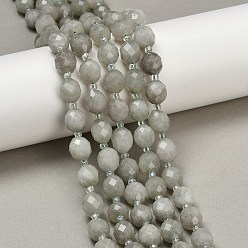 Серый Натуральный Malaysia нефритовые бусы пряди, в форме риса, окрашенные, граненые, с бисером, серые, 9~10x8~8.5 мм, отверстие : 1.2 мм, около 31~32 шт / нитка, 14.57'' (37 см) ~ 14.96'' (38 см)