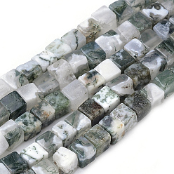 Tree Agate Natural Tree Agate Beads Strands, Cube, 4~5x4~5x4~5mm, Hole: 1mm, about 80~82pcs/strand, 14.9 inch