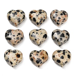 Dalmatian Jasper Natural Dalmatian Jasper Beads, Heart, 13~14x14~15x8~9mm, Hole: 1.6~1.8mm