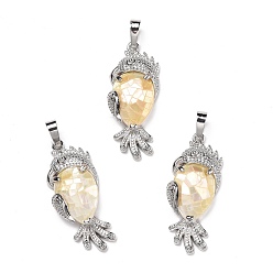 Дригие Морские Ракушки Экологически чистые подвески из латуни с покрытием из натуральной желтой морской раковины, без кадмия и без свинца, попугай, платина, 38.5x16x7.5 мм, отверстие : 8 мм