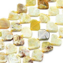 Yellow Opal Natural Yellow Opal Beads Strands, Diamond Shaped, 15.5~16.5x17~17.5x5~5.8mm, Hole: 1mm, about 22~24pcs/strand, 15.75~15.94 inch(40~40.5cm)