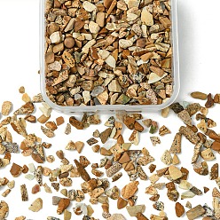 Пейзажный Джаспер 50g кусочки натуральной яшмы, нет отверстий / незавершенного, 4~8x3~4.5x2~4 мм