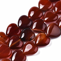 Red Agate Натуральный красный агат бисер нитей, сердце, 14~15x14~15x5~7 мм, отверстие : 1.2 мм, около 26 шт / нитка, 14.76 дюйм (37.5 см)