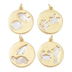 Mixed Shapes Природные подвески оболочки, латунные полые плоские круглые подвески с соединительными кольцами, реальный 18 k позолоченный, без свинца и без кадмия, долговечный, стойки покрытие, цвет морской раковины, разнообразные, 23x20.5x2 мм, отверстие : 3.4 мм