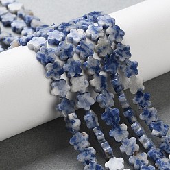 (306FM) Жонкиль матовый с лаймовой подкладкой Натуральное синее пятно нитки из бисера яшмы, цветка сливы, 6~6.5x6x2.5 мм, отверстие : 0.7 мм, около 63 шт / нитка, 14.76'' (37.5 см)