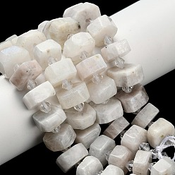 Rainbow Moonstone Бусины из натурального радужного лунного камня, самородки, граненые, с пластиковой бисера, 14~16x14~16x7~9 мм, отверстие : 1.4~1.8 мм, около 28~31 шт / нитка, 15.04~15.24 дюйм (38.2~38.7 см)