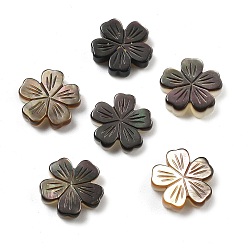 черная губная раковина Резные бусины из натуральной черной ракушки, цветок, 11.5~12x12x2.5~3.5 мм, отверстие : 0.8~0.9 мм