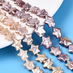 чертополох Натуральный жемчуг в стиле барокко кеши, зарождающаяся жемчужина, звезда, чертополох, 9~14x9.5~14x2.5~6 мм, отверстие : 0.6 мм, около 33~35 шт / нитка, 14.96~15.16 дюйм (38~38.5 см)