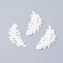 Пресноводная Раковина Естественных пресноводных кабошоны оболочки, перо, 41x20x2 мм