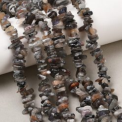 Лунный Камень Натуральный лунный камень бисер нитей, чип, 5~16 мм, отверстие : 0.8 мм, 15.75~16.14'' (40~41 см)