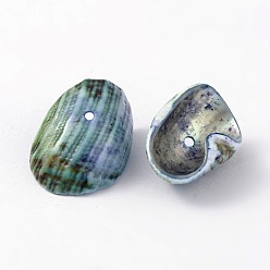 Midnight Blue Natural Sea Shell Beads, Dyed, Midnight Blue, Size: about 12~22mm long, 10~22mm wide, 2~4mm thick, hole: 2mm, about 920pcs/500g