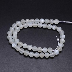 White Moonstone Natural White Moonstone Round Bead Strands, Grade AA, 8mm, Hole: 1mm, about 50pcs/strand, 15.5 inch