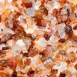 Красный Агат Природные сердолика бусы чип, нет отверстий / незавершенного, окрашенная и подогревом, 2~8x2~4 мм, Около 8500 шт / 500 г