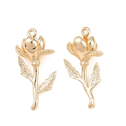 February Violet Латунные подвески, , золотые, февральская фиалка, 22.5x11x8 мм, отверстие : 1 мм