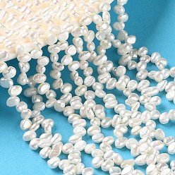 Old Lace Natural Cultured Freshwater Pearl Beads Strands, Top Drilled, Two Sides Polished, Grade 6A, Old Lace, 4~5mm, Hole: 0.5mm, about 81pcs/strand, 13.78''(35cm)