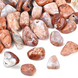 Ágata Normal Cuentas de ágata rosa natural, piedra caída, pepitas, sin agujero / sin perforar, gemas de relleno de jarrones, 20~35x22~40x14~27 mm