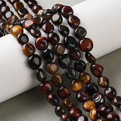 (52) Непрозрачная лаванда Трехцветные нити бусин из натурального тигрового глаза, самородки, упавший камень, смешанные окрашенные и неокрашенные, разноцветные, 7.5~13.5x7~9.5x4~7 мм, отверстие : 0.6~0.8 мм, около 42~44 шт / нитка, 15.47~15.55 дюйм (39.3~39.5 см)