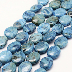 Deep Sky Blue Natural Crazy Lace Agate Beads Strands, Flat Oval, Dyed, Dark Turquoise, 18x13x5.5~6mm, Hole: 1mm, about 22pcs/strand, 15.3 inch(39cm)