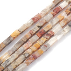 Crazy Agate Natural Crazy Lace Agate Beads Strands, Cuboid, 3.5~6x2.2x2.2mm, Hole: 0.9mm, about 79~83pcs/strand, 15.04~15.24''(38.2~38.7cm)