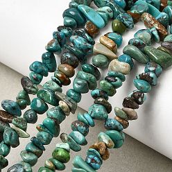 Бирюза из Хубэя Натуральные нити бирюзовый шарик Hubei, самородок, 4~12x4~12x1.5~6 мм, отверстие : 0.4 мм, 15.16~15.47'' (38.5~39.3 см)