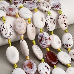 Blanc Naturelles feu crépitent agate perles brins, teints et chauffée, Ovale Plat, blanc, 26~27.5x19.5~20.5x9.5~10.5mm, Trou: 2mm, Environ 12 pcs/chapelet, 15.55~15.87'' (39.5~40.3 cm)