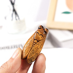 Insects Естественный тигр украшения дисплея глаз, украшение домашнего офиса, золотая цикада, 30~80 мм
