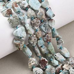 Ларимар Необработанные нити из натуральных бусин ларимара, самородки, 6~18x6~14x4~10 мм, отверстие : 1 мм, около 28~39 шт / нитка, 16.73'' (42.5 см) ~ 16.93'' (43 см)