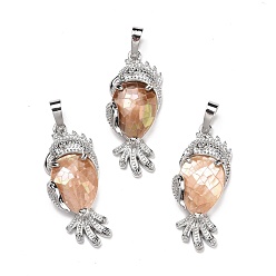 Дригие Морские Ракушки Экологически чистые подвески из латуни с покрытием из натуральной птерии в виде пингвинов, без кадмия и без свинца, попугай, платина, 38.5x16x7.5 мм, отверстие : 8 мм