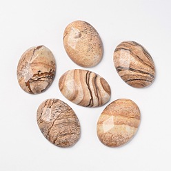 Picture Jasper Natural Picture Jasper Cabochons, Flat Back,  Oval, 35x25x7.5mm