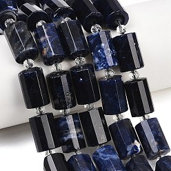 Содалитовое Природный содалит бисер нитей, граненые, колонка, с бисером, 15~15.5x10 мм, отверстие : 0.8 мм, около 22 шт / нитка, 15.75''~15.98'' (40~40.6 см)