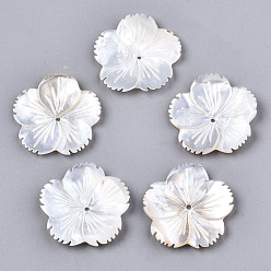 Creamy White Natural White Shell Mother of Pearl Shell Beads, Carved, Flower, Creamy White, 24x24x2~3mm, Hole: 1.2mm