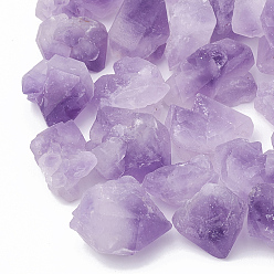 Аметист Украшения природный аметист, нет отверстий / незавершенного, чип, 12~30x10~25x10~16 мм, около 130 шт / 1000 г