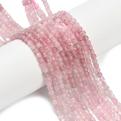 Розовый Кварц Природного розового кварца нитей бисера, граненые настольные бусины в форме куба, 2.5x2.5x2.5 мм, отверстие : 0.5 мм, около 183 шт / нитка, 15.63 дюйм (39.7 см)