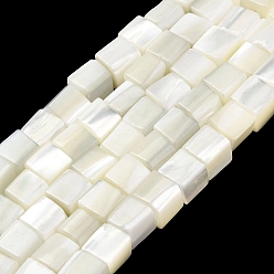 Ghost White Natural Trochid Shell/Trochus Shell Beads Strands, Cube Beads, Ghost White, 6~6.5x6~6.5x6.5~7mm, Hole: 0.9mm, about 60pcs/strand, 15.75 inch(40cm)