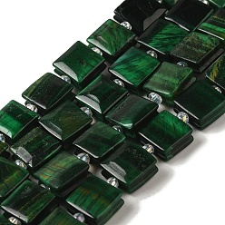 Тигровый глаз Естественный зеленый тигровый глаз бисер нитей, окрашенная и подогревом, квадратный, с бисером, 10~10.5x10~10.5x5~5.5 мм, отверстие : 1.6 мм, около 32 шт / нитка, 15.16~15.35 дюйм (38.5~39 см)