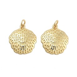 Настоящее золото 18K Латунные подвески, без кадмия и без свинца, оболочки прелести, с целью перехода в кольце, реальный 18 k позолоченный, 20x17x3.5 мм, отверстие : 3 мм