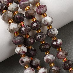 Tourmaline Perles de tourmaline fleurs de prunier naturel brins, perles rondelles à facettes, avec des perles de rocaille, 8x6~6.5mm, Trou: 1mm, Environ 23~24 pcs/chapelet, 7.68'' (19.5 cm) ~ 8.07'' (20.5 cm)