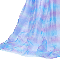 Светло-Голубой Сетчатая ткань из полиэстера, для аксессуаров для одежды, Небесно-голубой, 2860x1415x0.2 мм