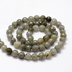 Labradorite Faceted Natural Labradorite Beads Strands, Round, 6mm, Hole: 1mm, about 62pcs/strand, 14.8 inch