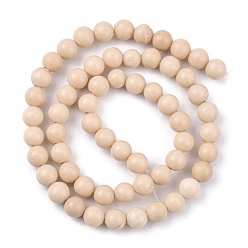 Fossil Natural Fossil Beads Strands, Round, 6mm, Hole: 1mm, about 65pcs/strand, 16 inch